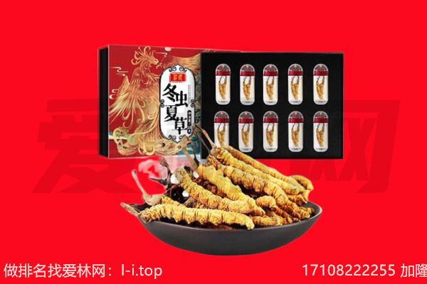 宜春市高安回收虫草.jpg